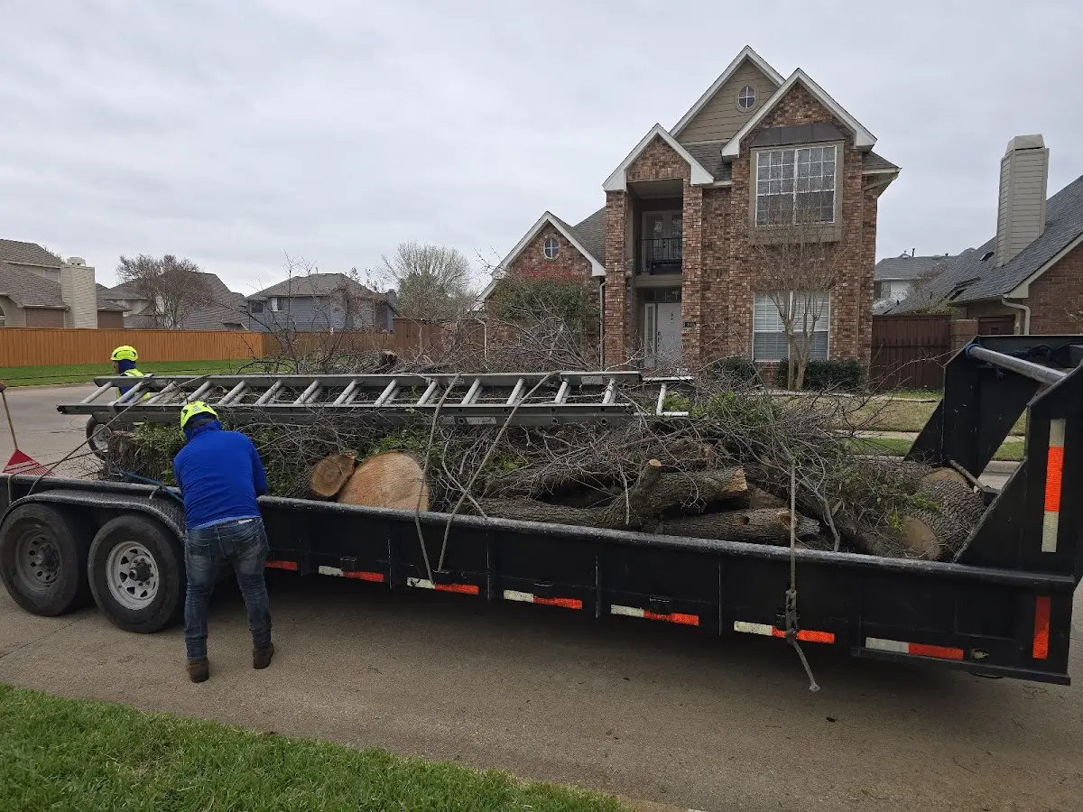 Expert Lot Clearing with proper safety equipment in Shandon